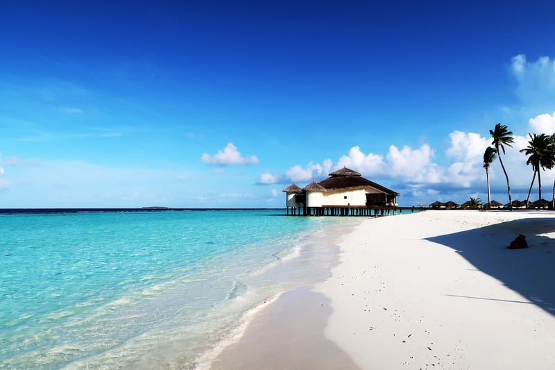 Galaxy Getaway Honeymoons